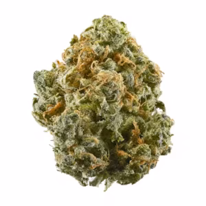 Bubble Gum